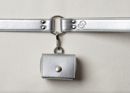 Silver apple leather lead